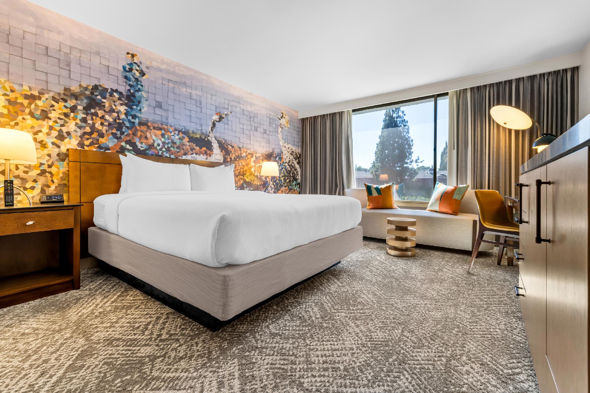 voco Laguna Hills by IHG 写真