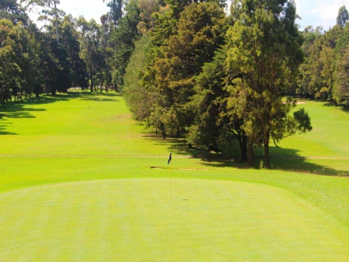 ザ ヒル クラブ 写真