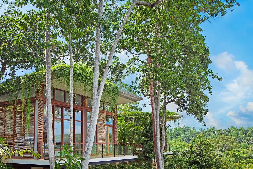 トライ アハンガマ 写真