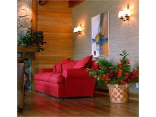 Hotel Puelche 写真