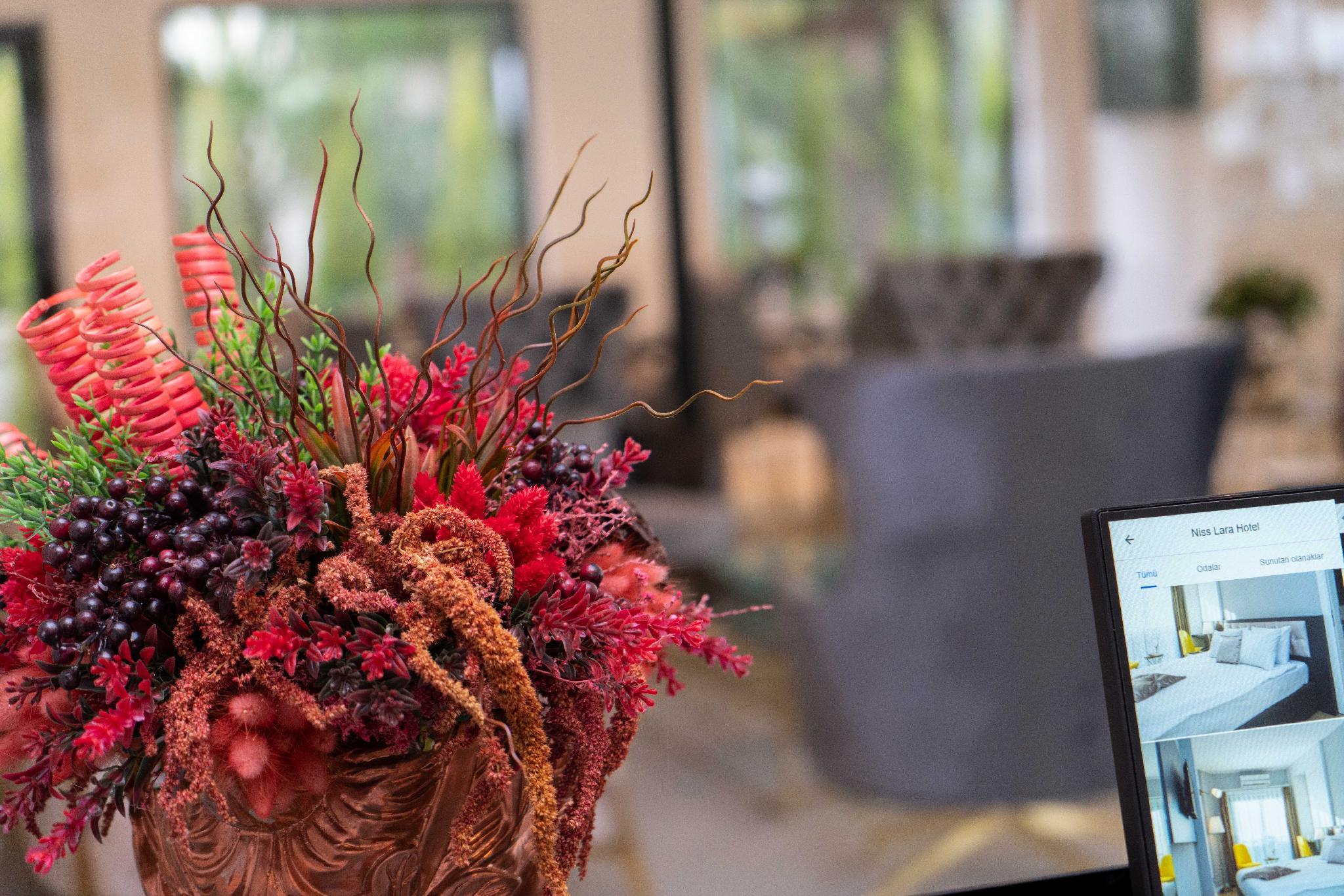 ニス ララ ホテル 写真