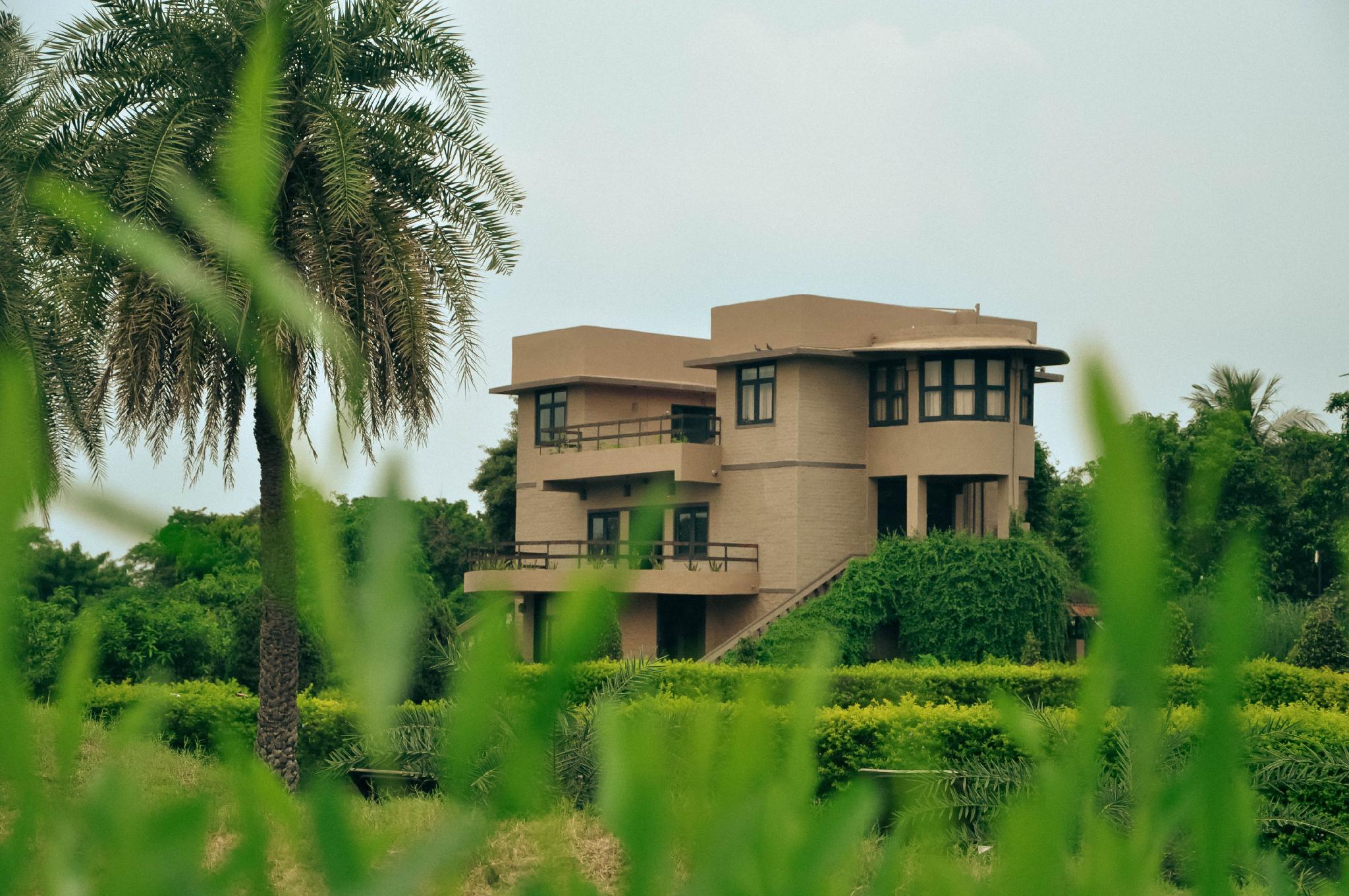 Clarks Safari Pushkar 写真