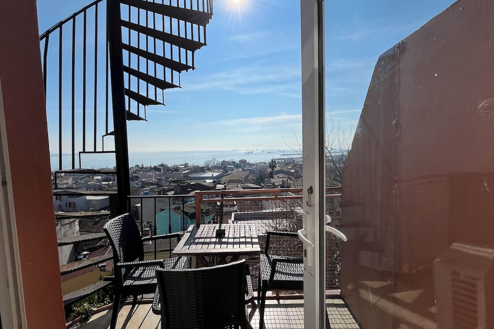 チューリップ ハウス 写真