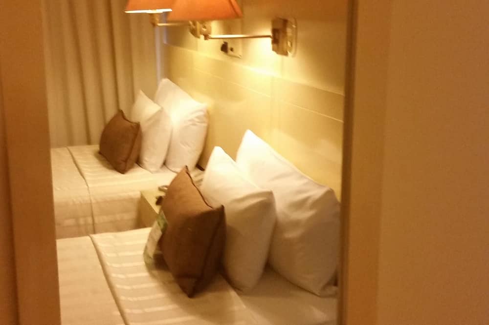 Embajadores Hotel 写真