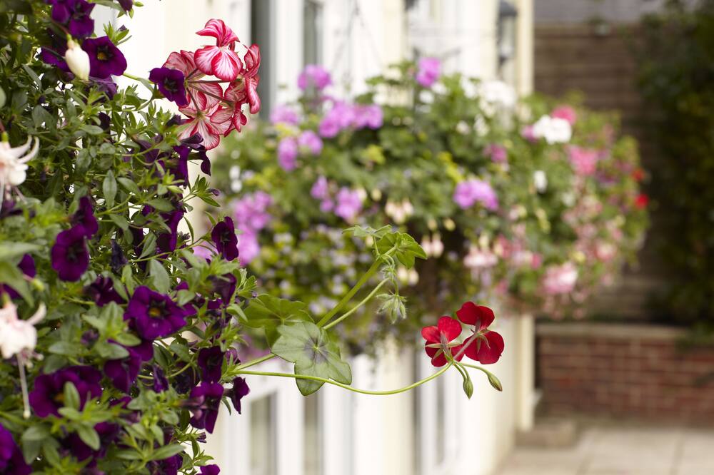 ザ ハブロック ゲスト ハウス 写真