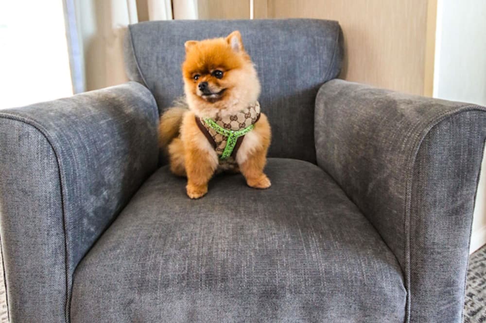 ノボテル プエルト モント 写真