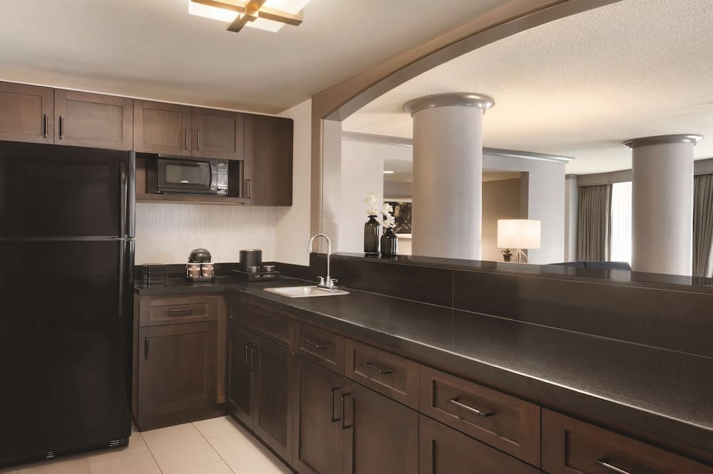 エンバシー スイーツ バイ ヒルトン アトランタ アット センテニアル オリンピック パーク 写真