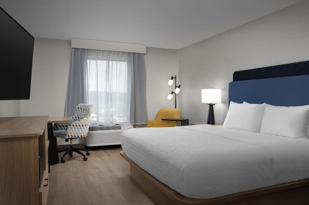 ハンプトン イン レノア シティ 写真