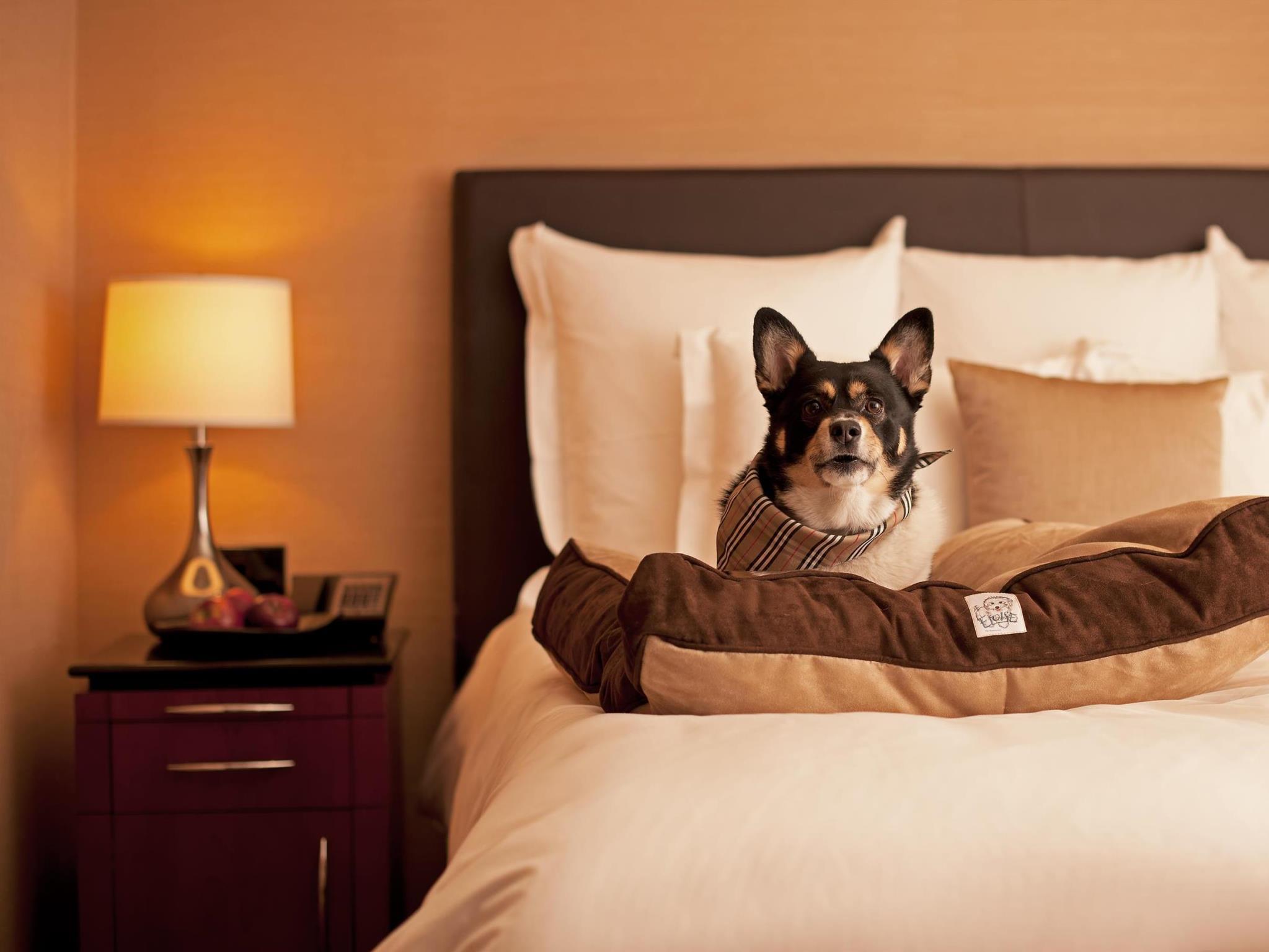 Hyatt Place Tempe/phoenix Airport 写真