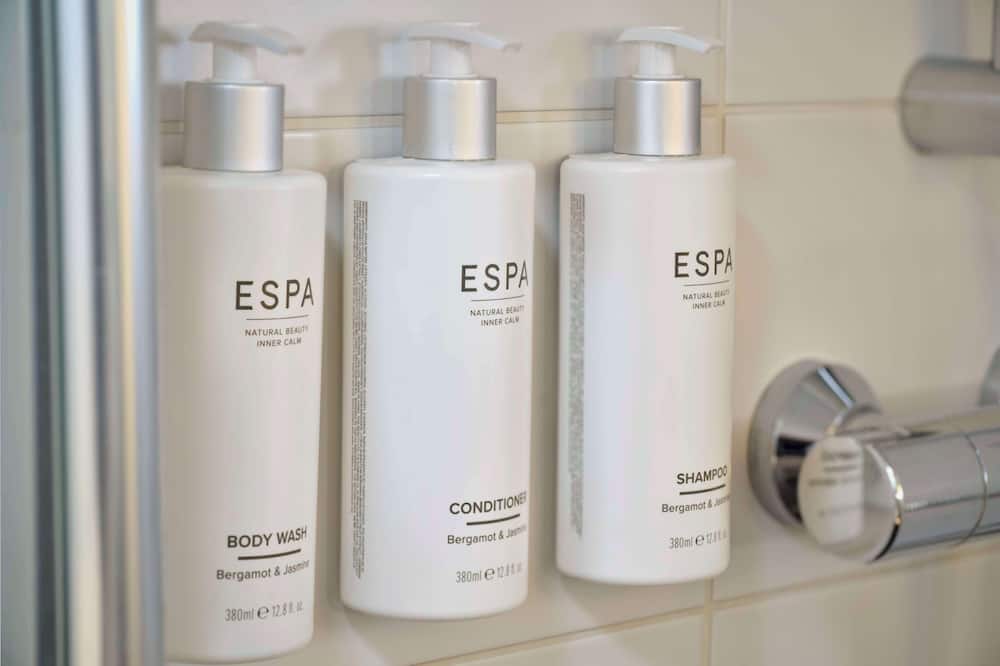 パーク プラザ ロンドン パーク ロイヤル 写真