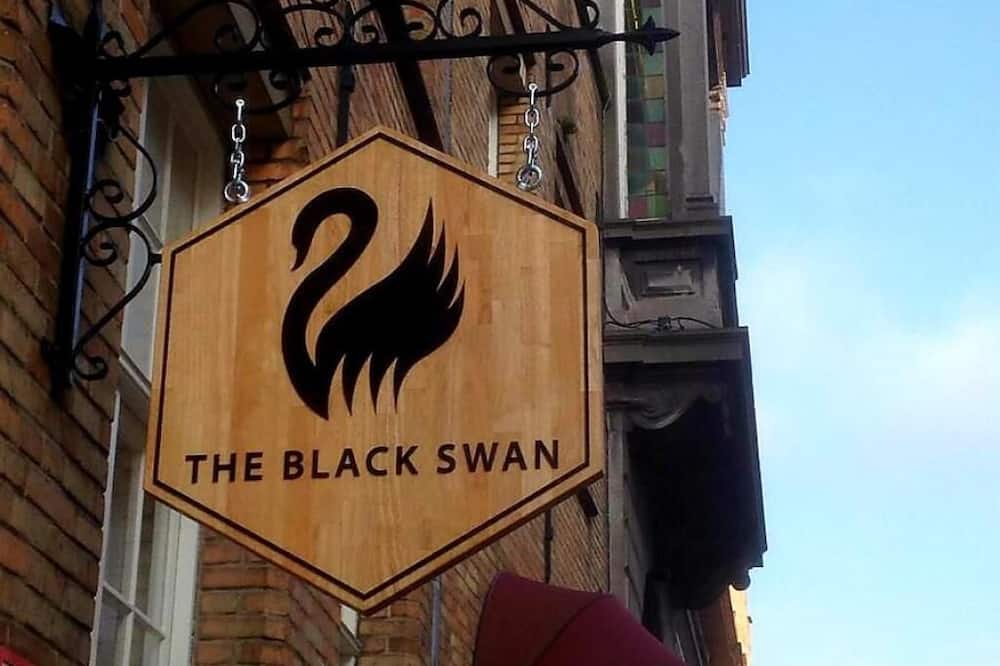 The Black Swan Hotel 写真