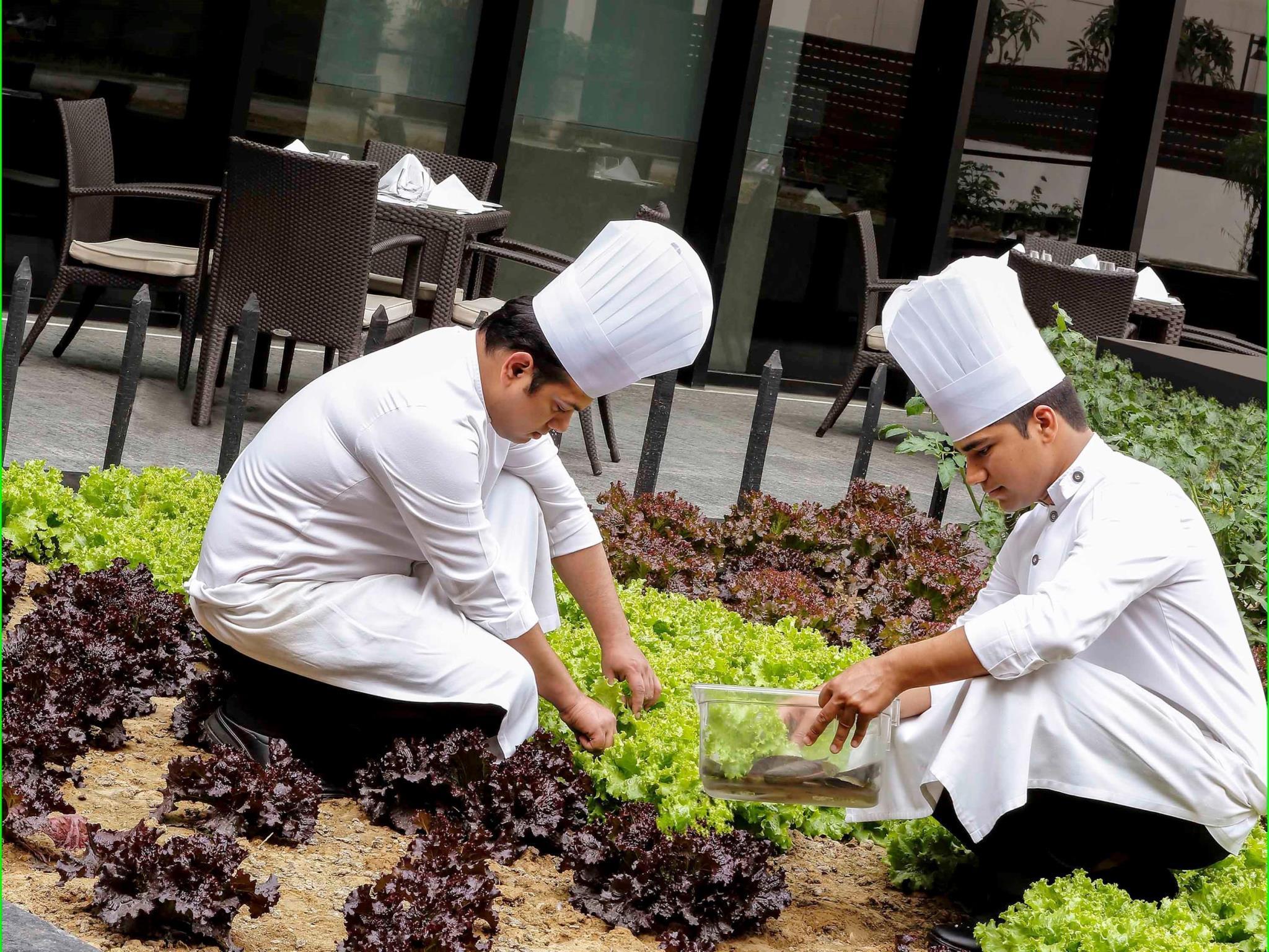 プルマン ニューデリー エアロシティ 写真