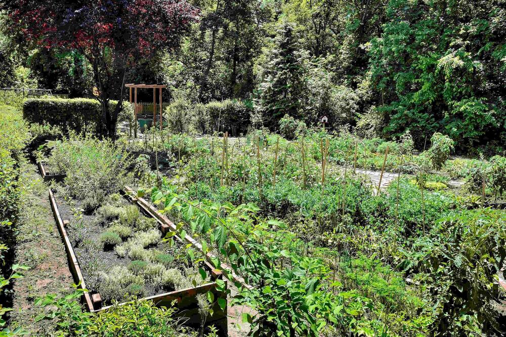 イビス ブダペスト シティサウス 写真