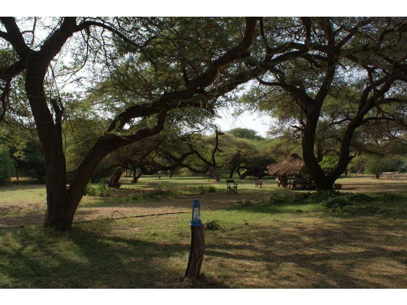 Lake Natron Tented Camp 写真