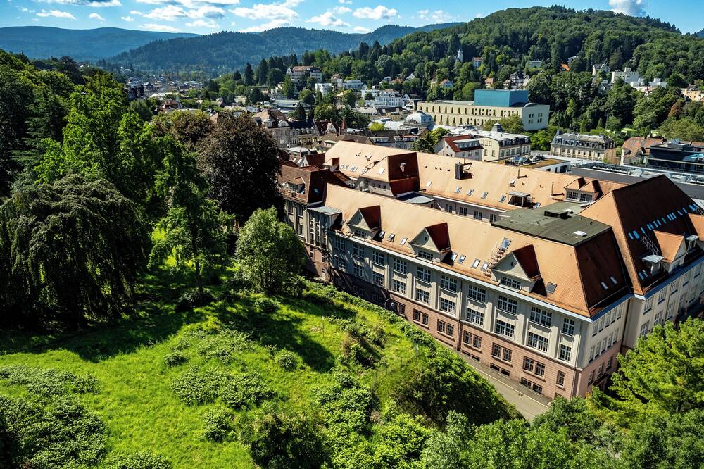 バチャリ パレイ バーデン  バーデン 写真