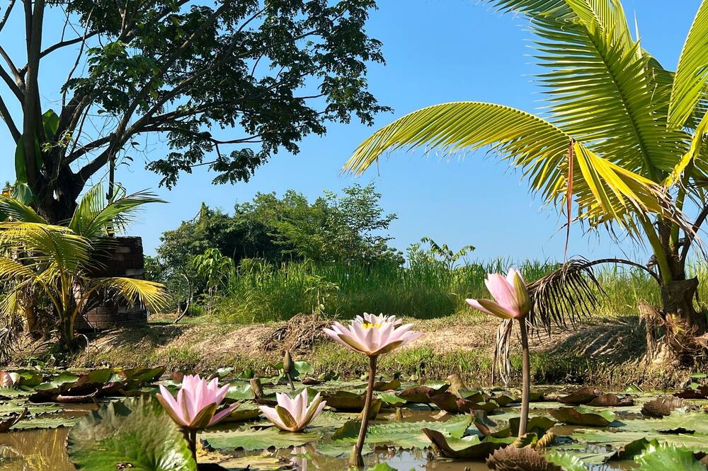 スコータイ シティ リゾート 写真