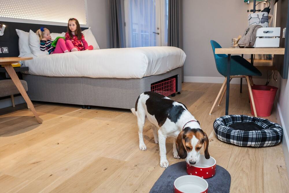 ロッジ アット ソレント 写真