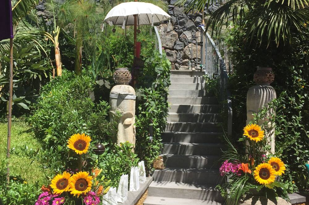 Dazkarizeh 73 写真