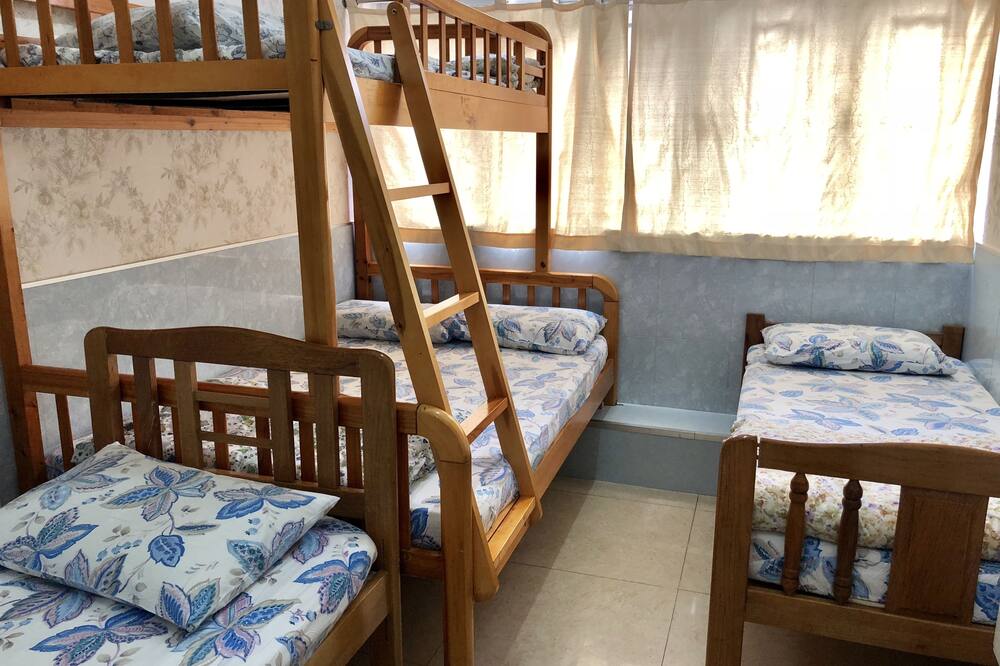 ドラゴン ホステル 写真