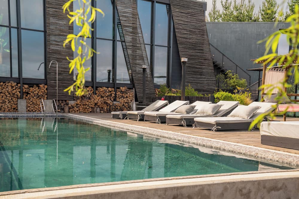 タカ マタンザス 写真