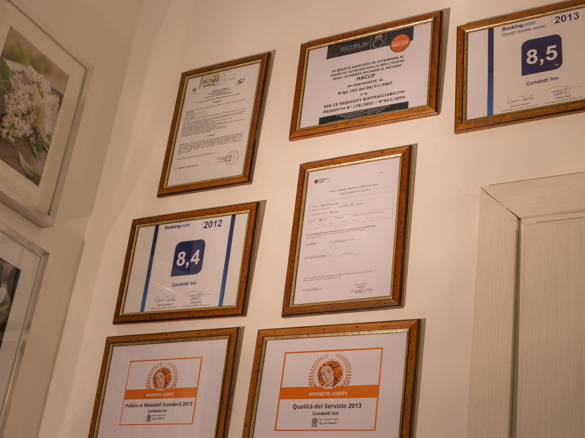 マジェンタコレクションカンチェロ 写真