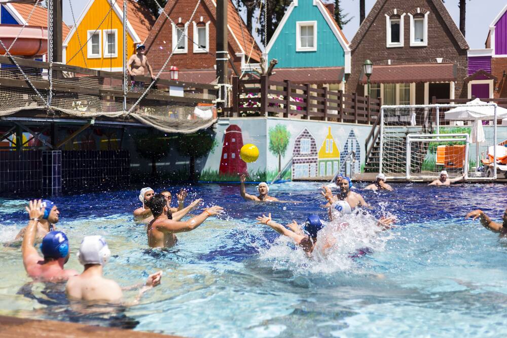 オレンジ カウンティ ケメル 写真