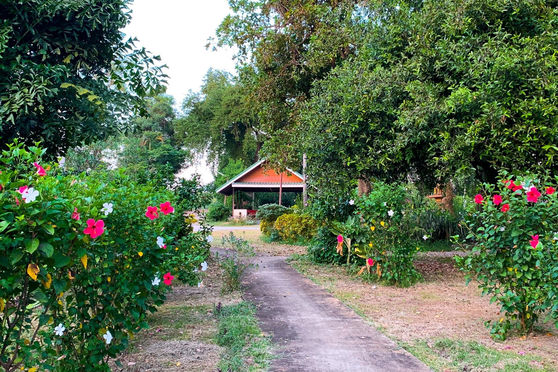 The Country Lake Nature Lodge Hotel 写真