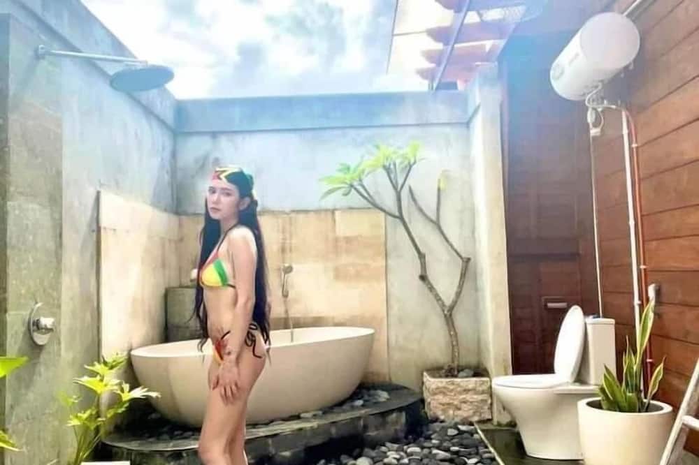 イノラジャングルリゾートアンドスパ 写真