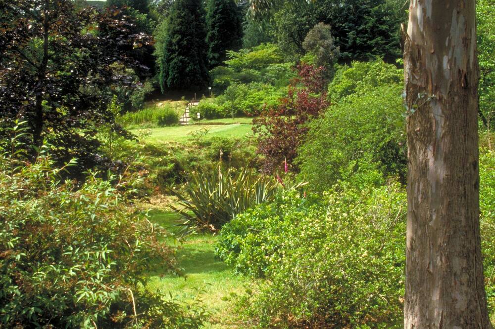 ロック ファイン ホテル＆スパ 写真