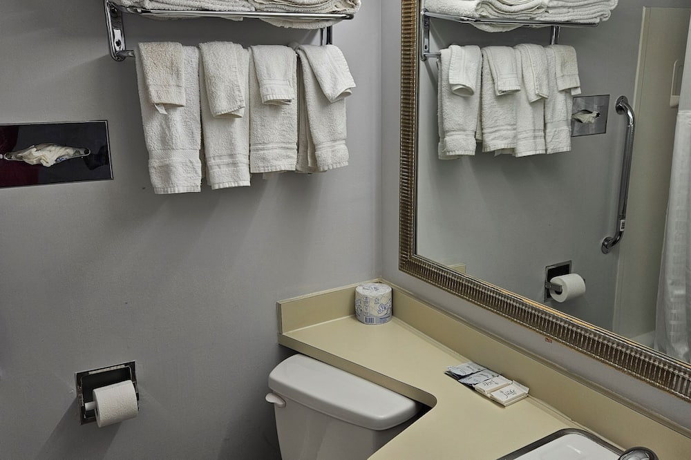 センター ストリート バリュー イン 写真