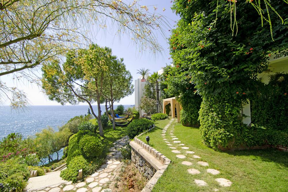 コルマル デラックス ホテル 写真