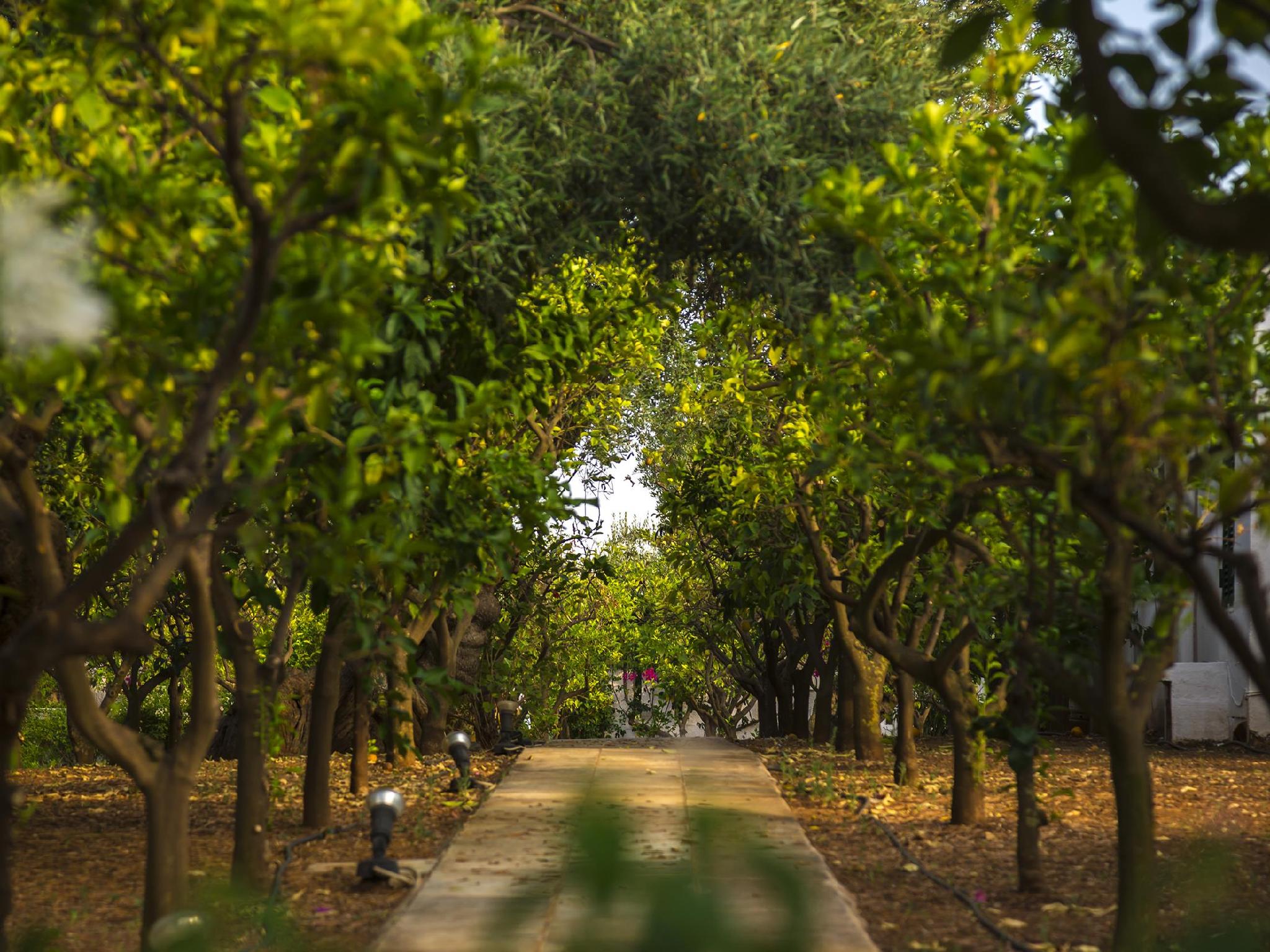 ホテル イル メログラーノ 写真
