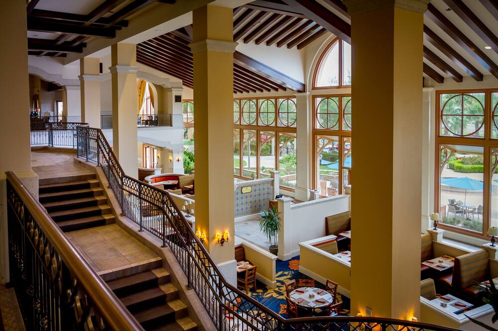 ローゼン シングル クリーク 写真