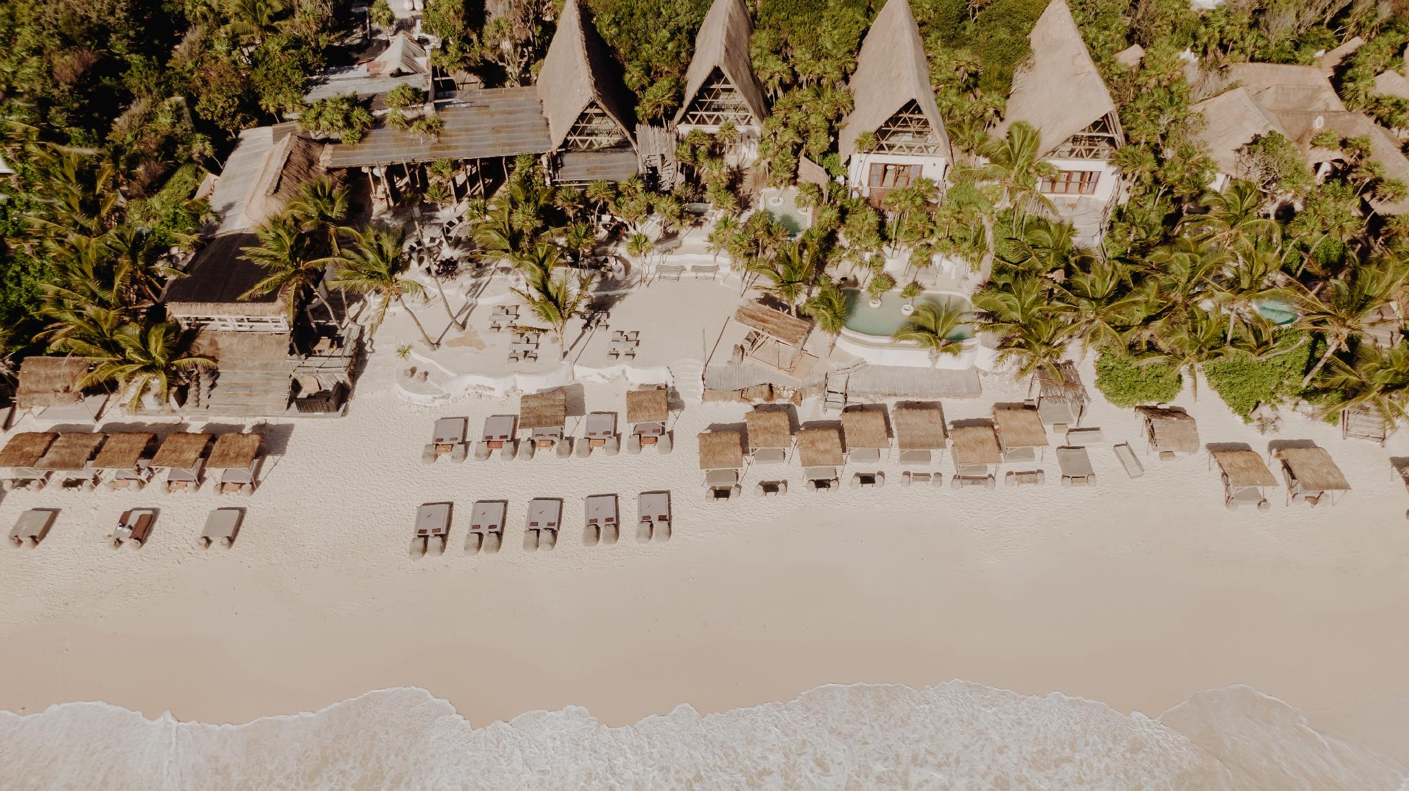 パパヤ プラヤ プロジェクト 写真