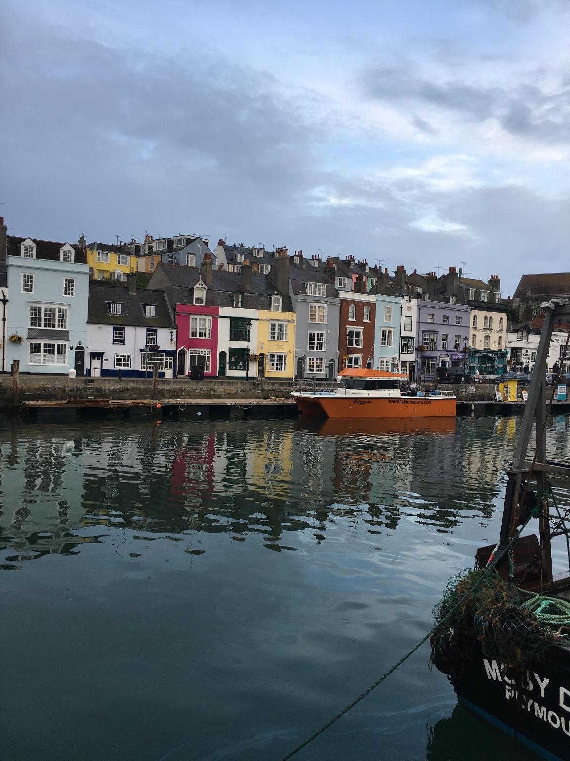 The Rosefield 写真