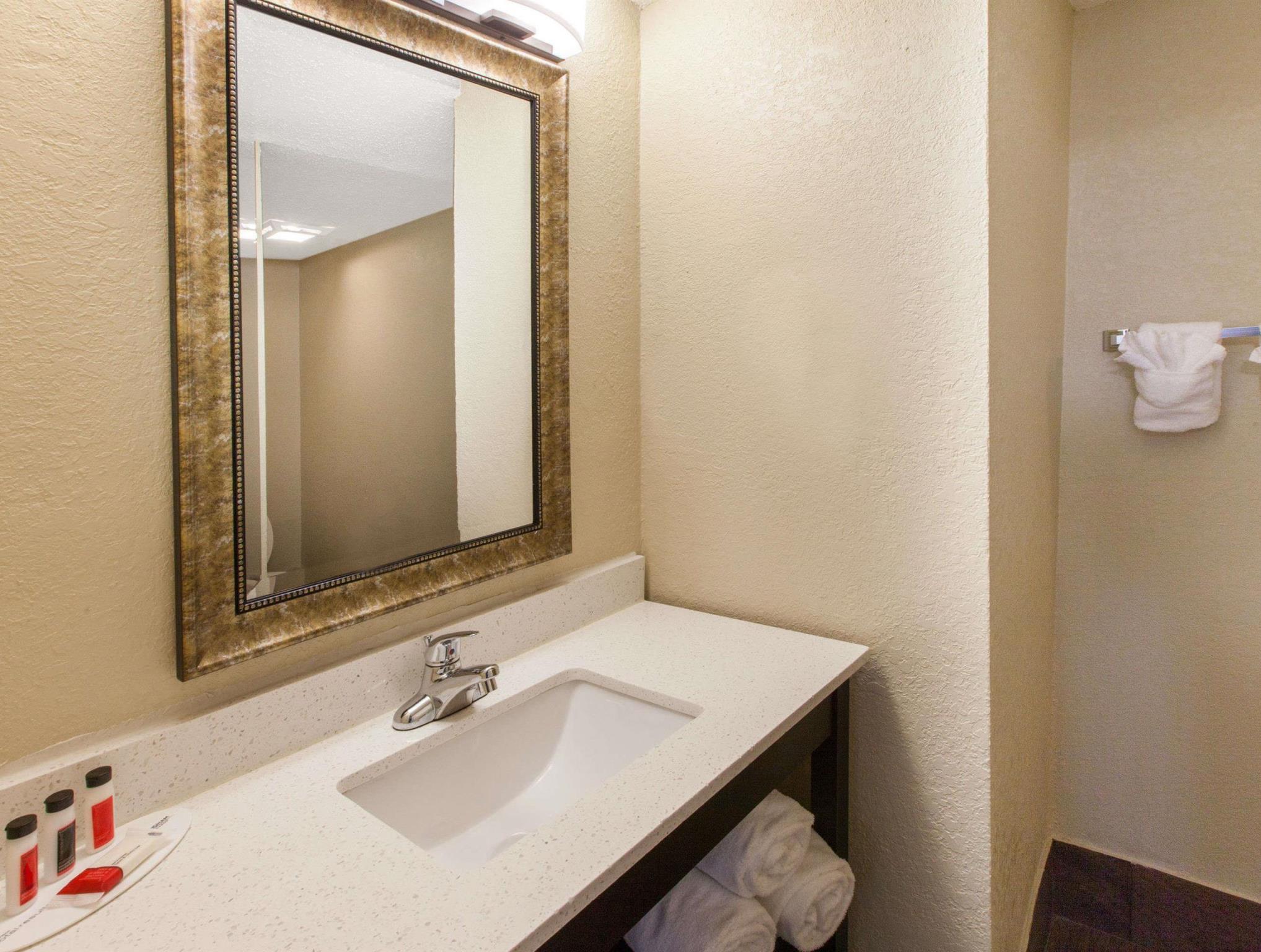 ベイモント バイ ウィンダム ダウンタウン デトロイト 写真