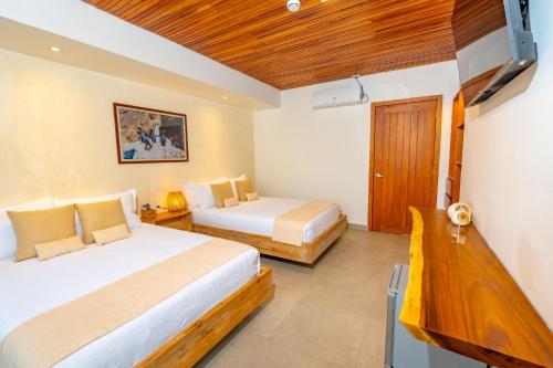 El Barranco Galapagos 写真