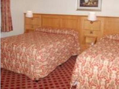 バイキング ホテル 写真