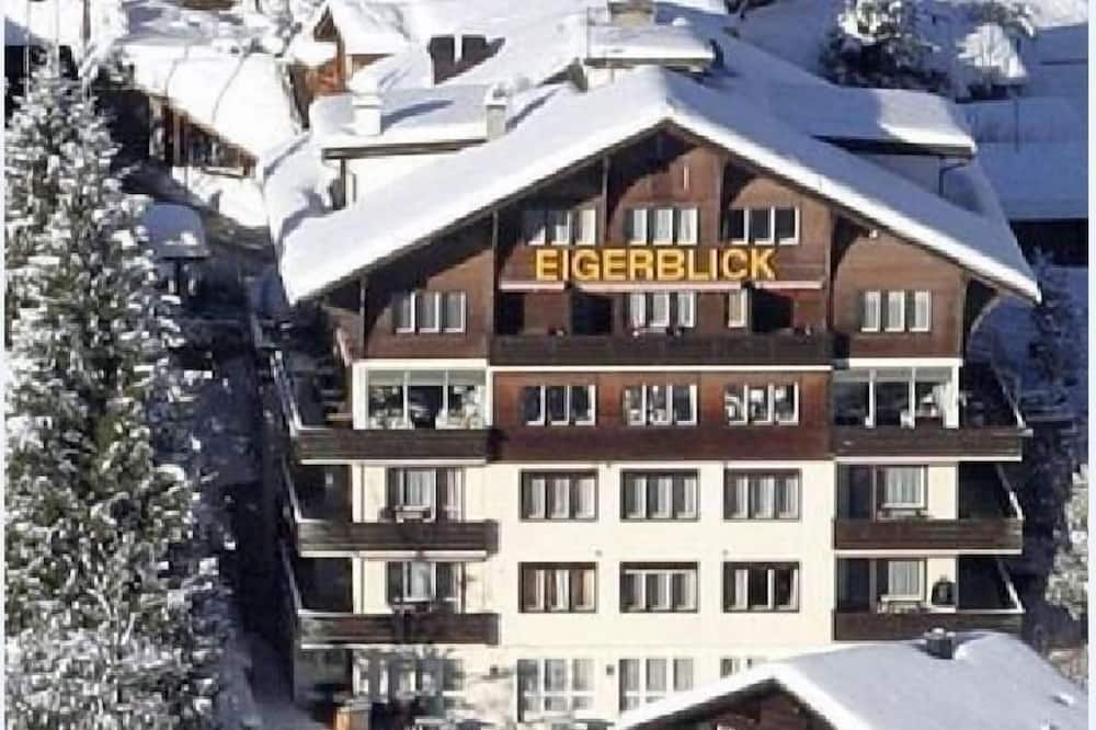 ホテル アイガーブリック 写真