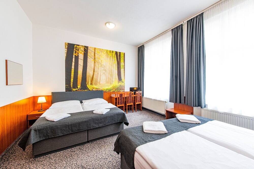 ホテル ズラタ ヴァハ 写真