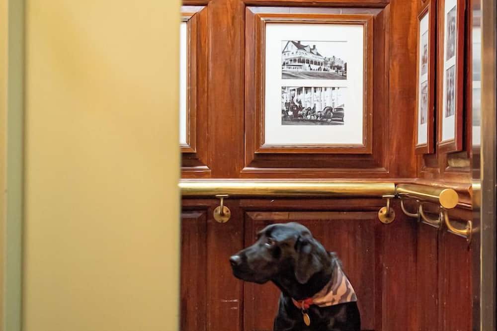 ザ ウィルコックス 写真