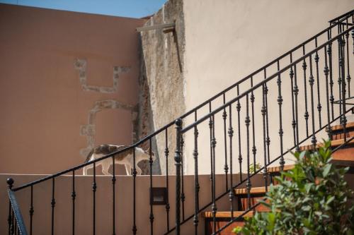 La Maison Ottomane 写真