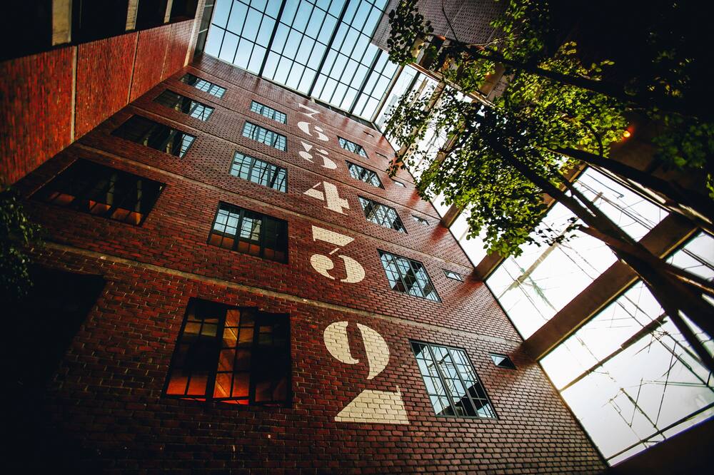 ローザ マラッカ 写真