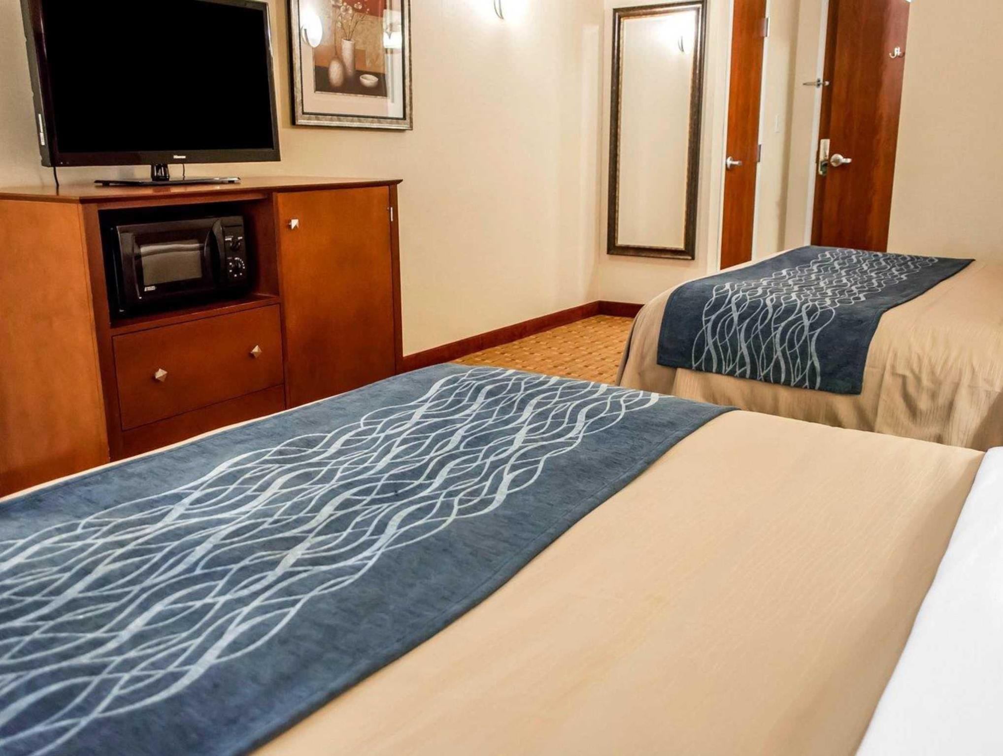 コンフォート イン & スイーツ フランクリン イースト 写真