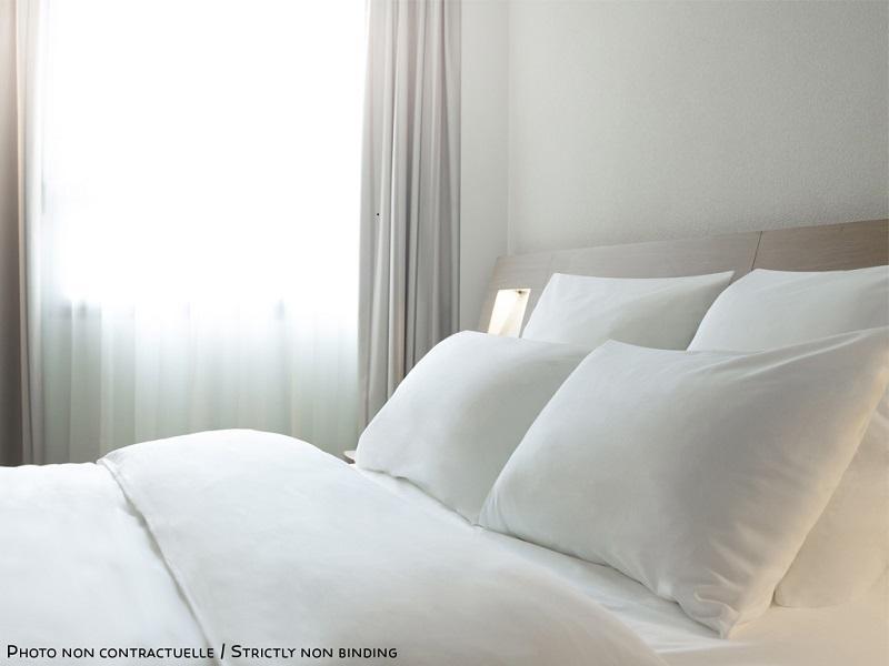 イビス スタイルズ パリ カデット ラファイエット 写真