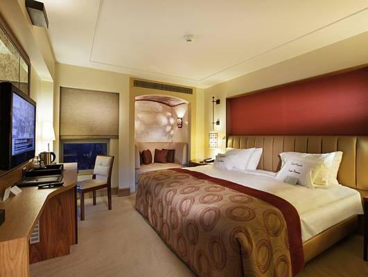 ダブルツリー バイ ヒルトン アヴァノス カッパドキア 写真