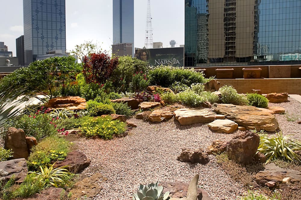 フェアモント ダラス 写真