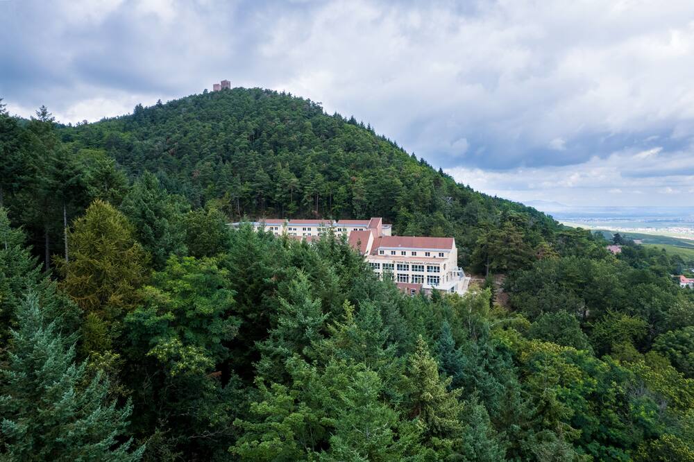 Hotel SPA Husseren Collections - Proche Colmar - Eguisheim 写真