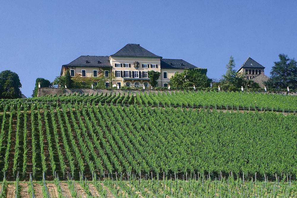 アルトドイチェ ヴァインシュトゥーベ スーペリア 写真