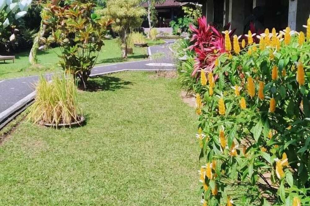 プリ パディ ウブド 写真